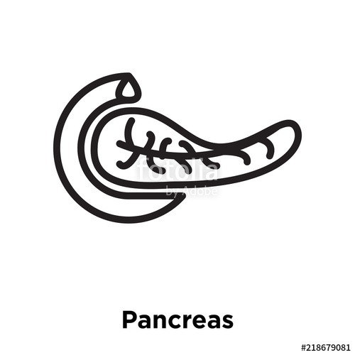 500x500 Pancreas Icons Isolated On White Background Modern And Editable