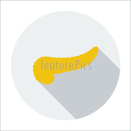 500x500 Emblems And Symbols Pancreas Icon