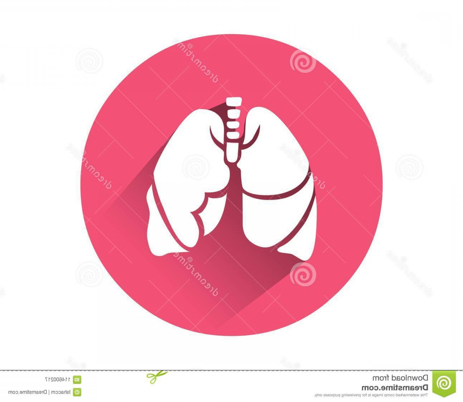 1560x1356 Human Internal Organ Vector Stock Image Pancreas Icon Vector Human