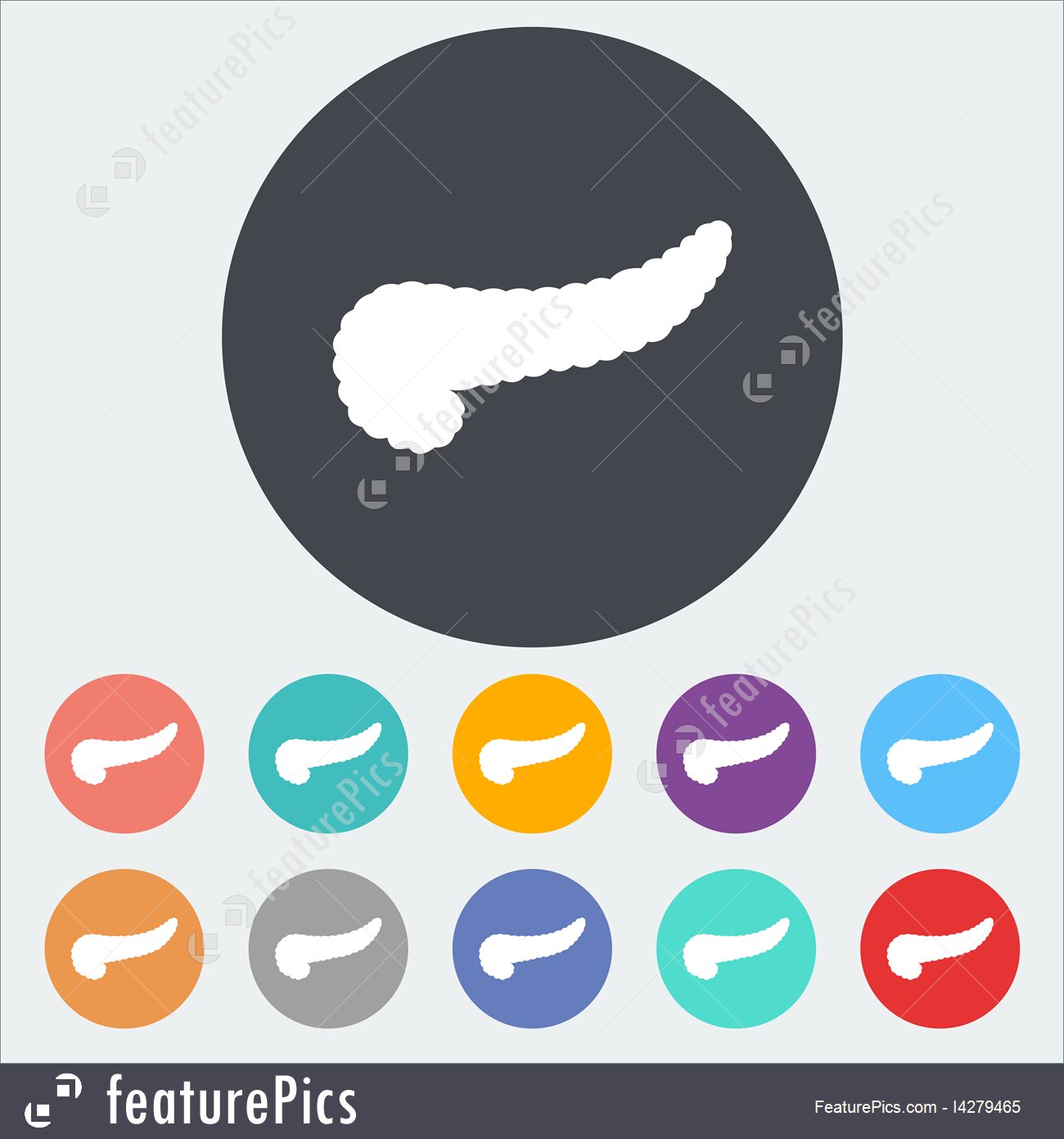 1300x1392 Illustration Of Pancreas Icon