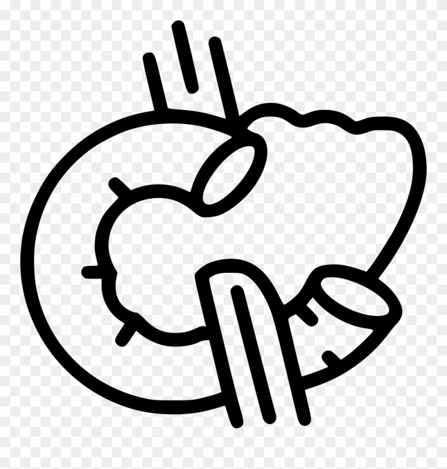 880x923 Pancreas Comments