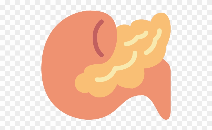840x515 Pancreas Free Icon