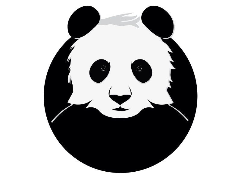 800x600 Panda Icon