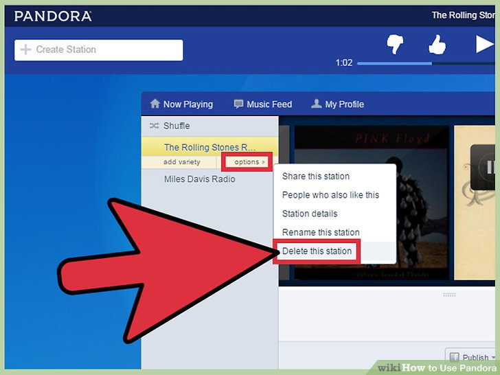 Pandora Desktop Icon