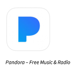 304x296 Pandora Icon Png Images In Collection