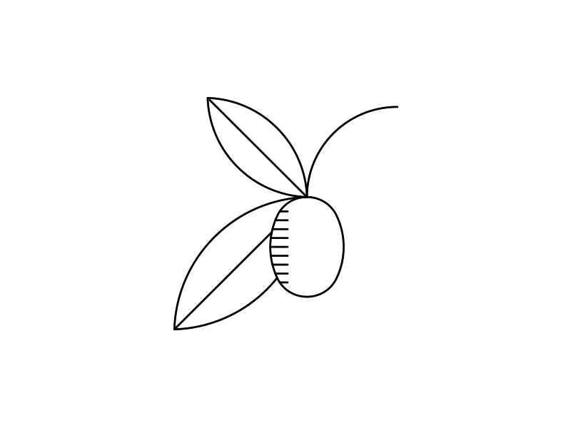 800x600 Piece Of A Pantry Icon Series