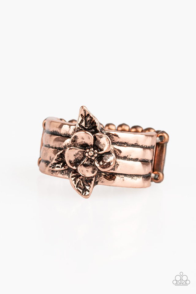 640x960 Paparazzi Accessories Island Icon