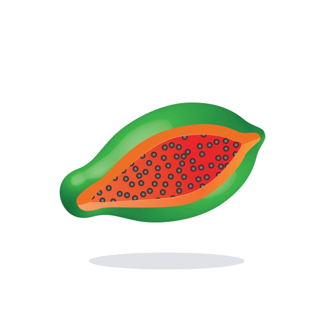 640x640 Papaya Realistic Icon Vector Isolated On White Background, Icon