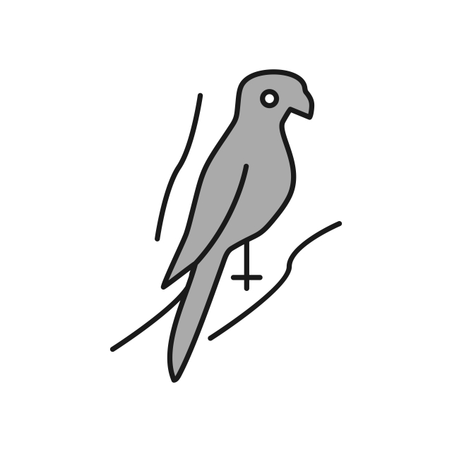 640x640 Parrot Icon For Your Project, Parrot, Bird, Pirate Png And Vector