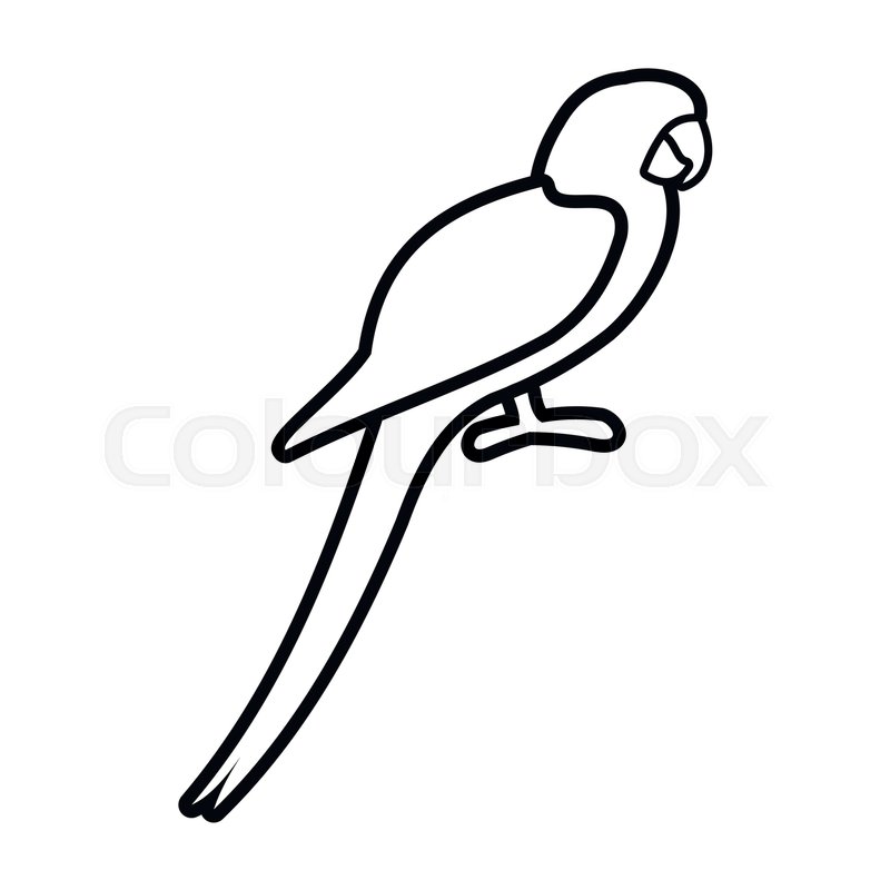 800x800 Parrot Icon In Outline Style Isolated Stock Vector Colourbox