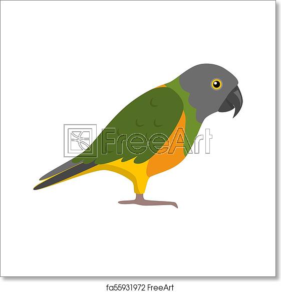 561x581 Free Art Print Of Senegal Parrot Icon In Flat Style Senegal