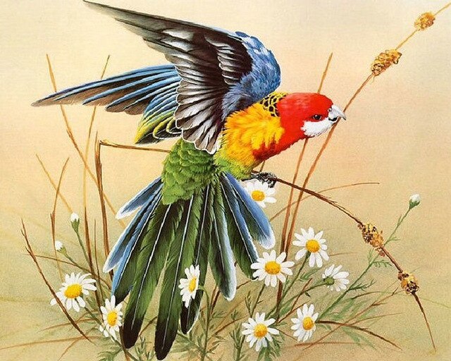 640x512 Hot Diy Diamond Mosaic Embroidery Animal Parrot Icon Diamond