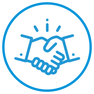 300x300 Icon Partnership