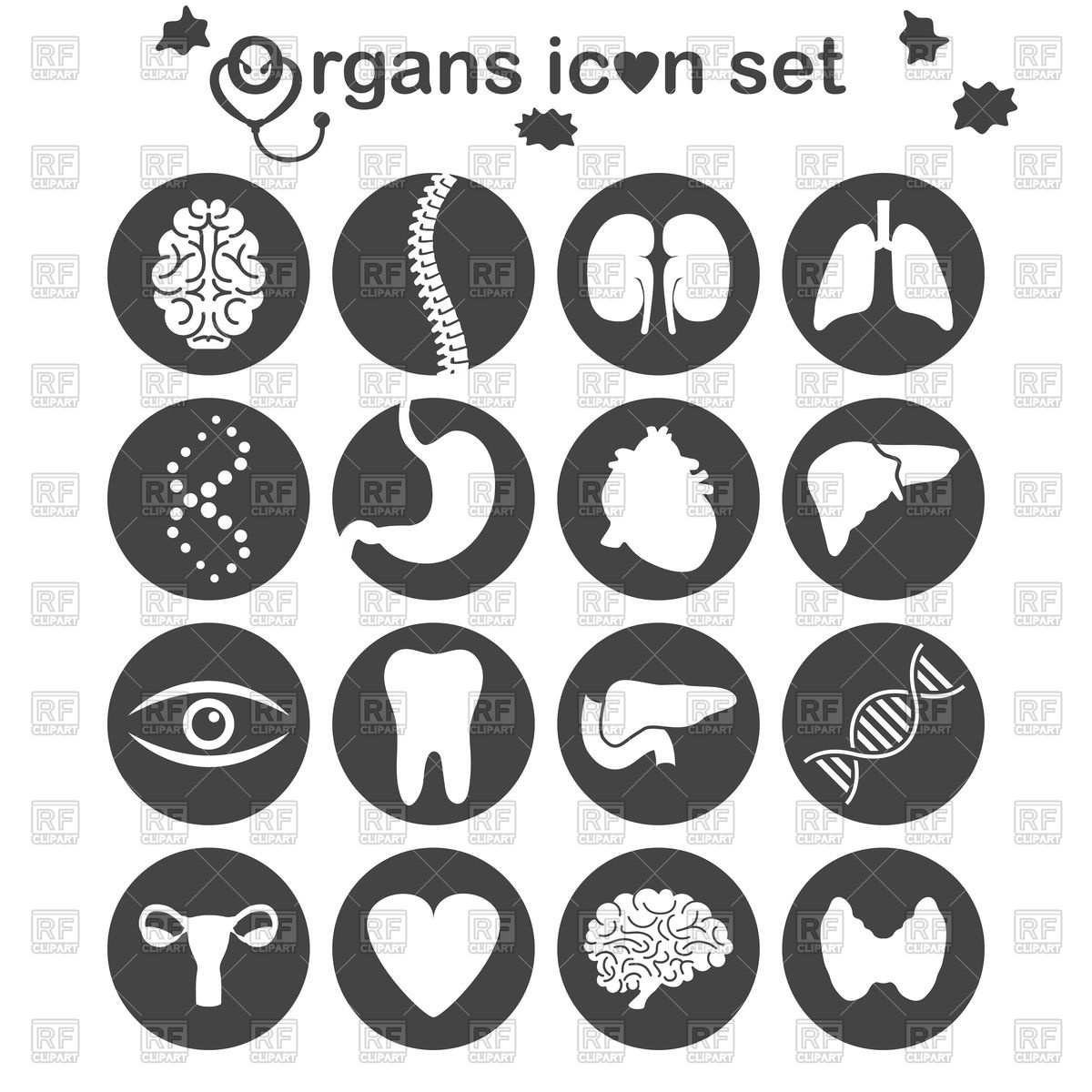 Human Organs And Parts Icon 1200x1200 Human Organs And Parts Icon