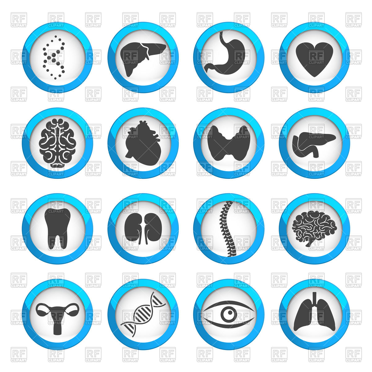 Human Organs And Parts Icon 1200x1200 Human Organs And Parts Icon