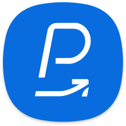 256x256 Samsung Pass Icon Of Flat Style