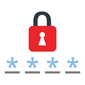 300x300 Password Icon