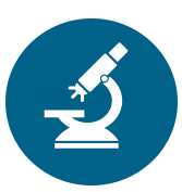 167x177 Pathology Icon