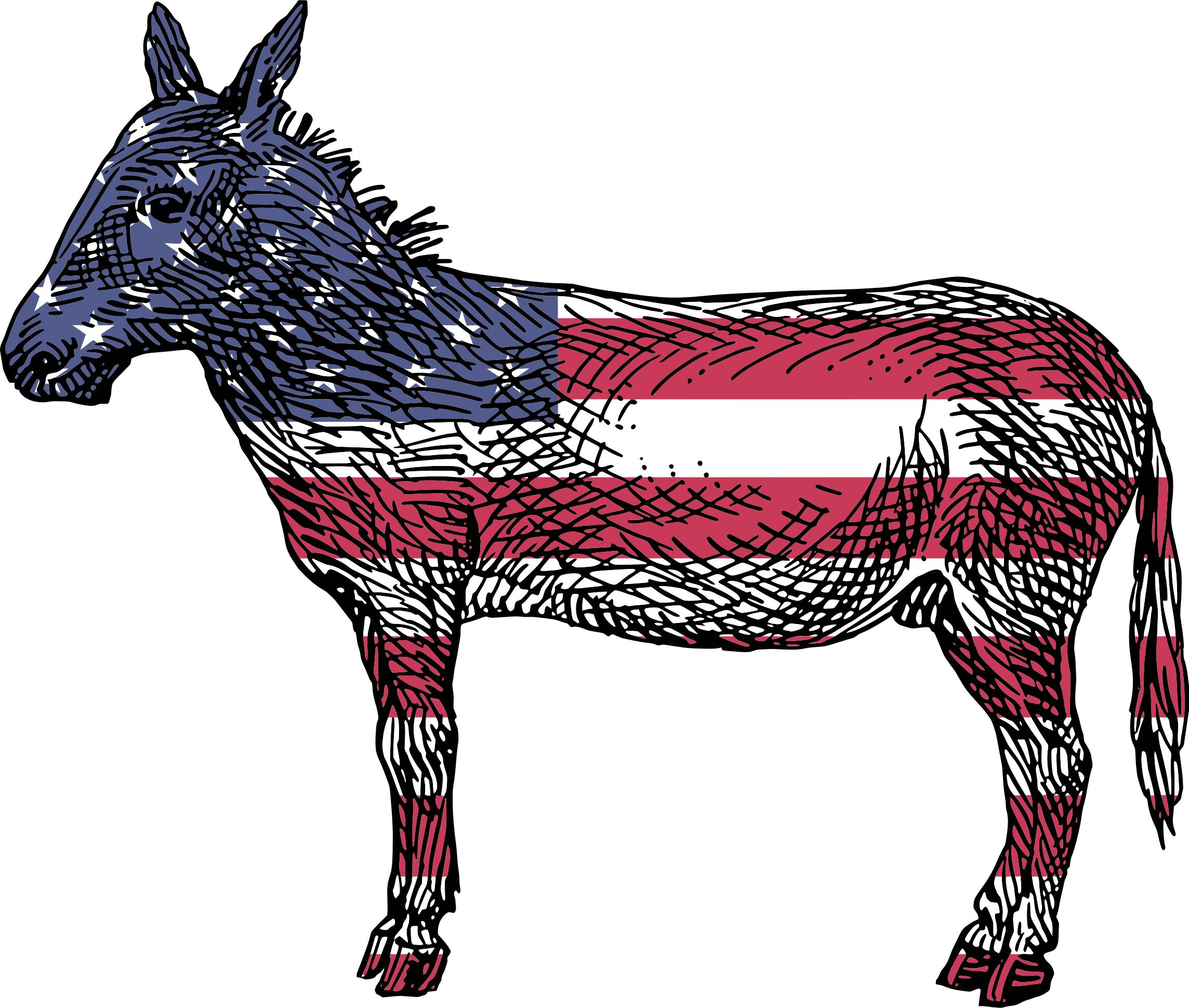 2288x1940 Patriotic Donkey Icons Png