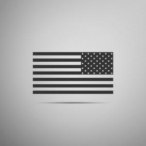 300x300 Usa Flag Circle Grey Background American Patriotic Icon Vector Usa