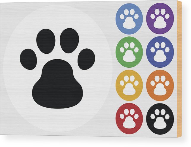643x493 Dog Paw Icon On Flat Color Circle Buttons Wood Print
