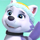 160x160 Everest Icon