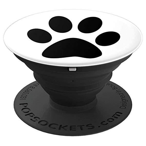 569x569 Paw Print Icon Simple Black White Background Design