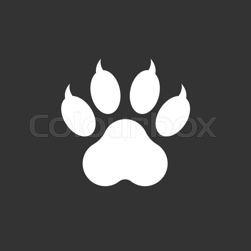 800x800 Paw Print Icon Vector Illustration Stock Vector Colourbox