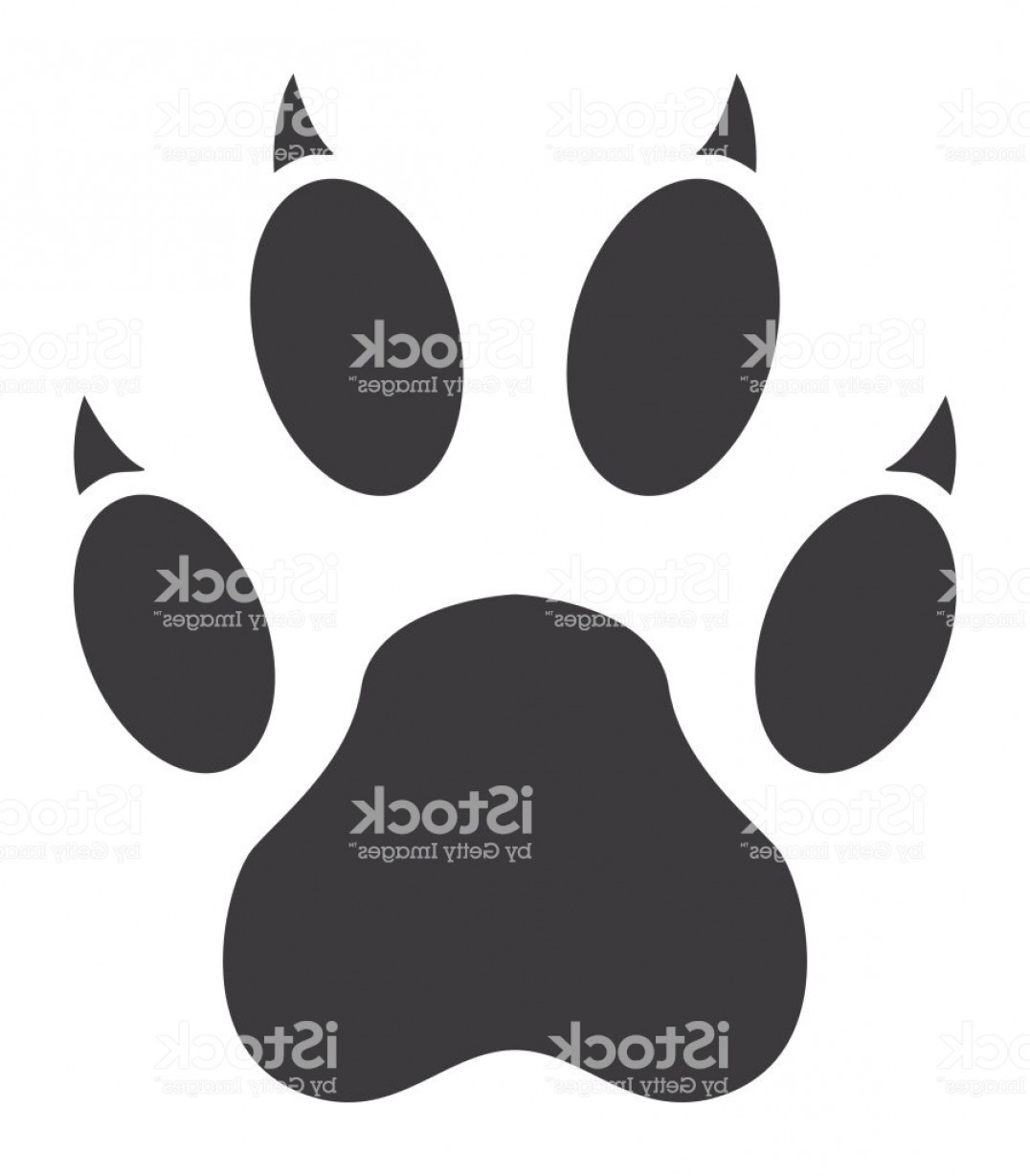 1076x1228 Tiger Paw Print Icon Gm Hoodamathrun