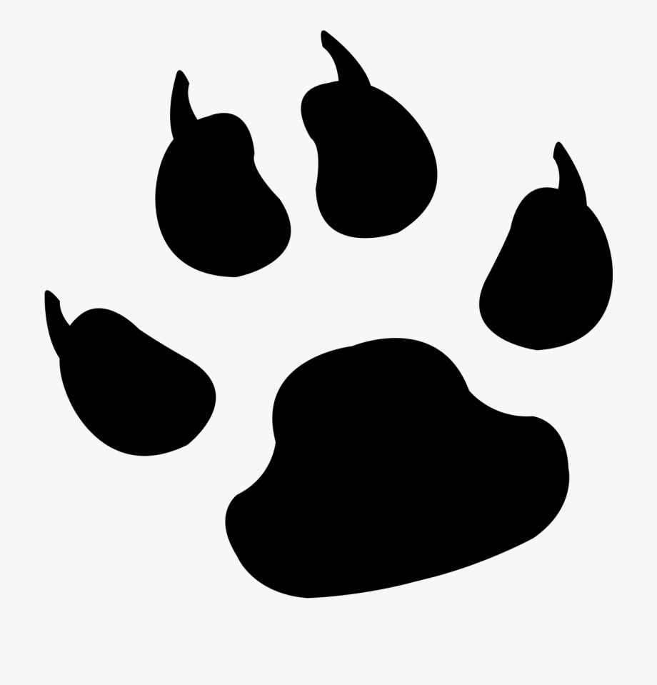 920x959 Footprint Clipart Lion