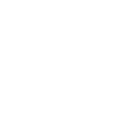 256x256 White Pawn Icon