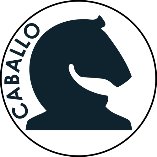 500x500 Chess Pawn Icon