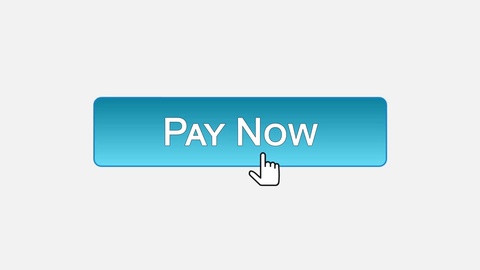 480x270 Pay Now Web Interface Button Clicked With Mouse Cursor, Different