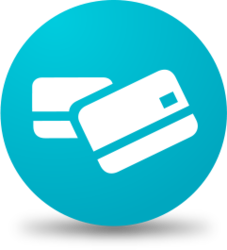 227x250 Payment Gateways In Srinagar