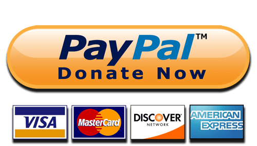 500x285 Donate Now Paypal And Cards Button Icons Png