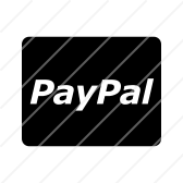 Paypal Payment Icon