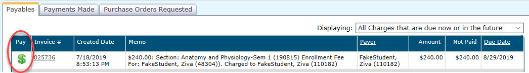 1046x145 Studentsguardians How To View And Pay Ivs Course Fees Illinois