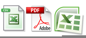 300x134 Excel Icon X Free Images