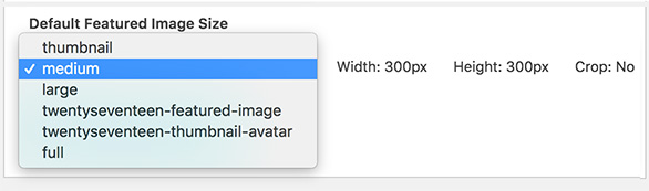 586x173 Featured Image Settings