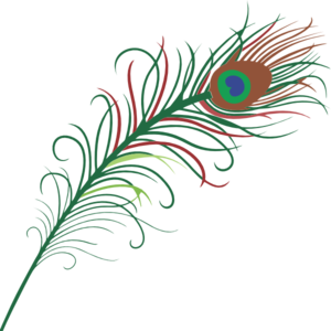 300x300 Peacock Feather Png, Clip Art For Web