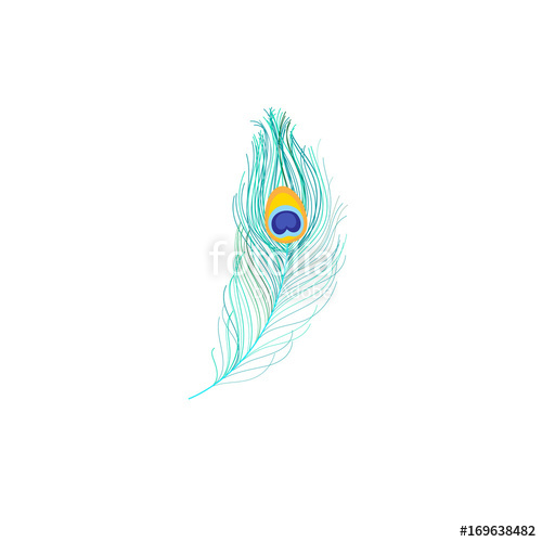 500x500 Vector Icon Of Peacock Feather Stock Image And Royalty Free