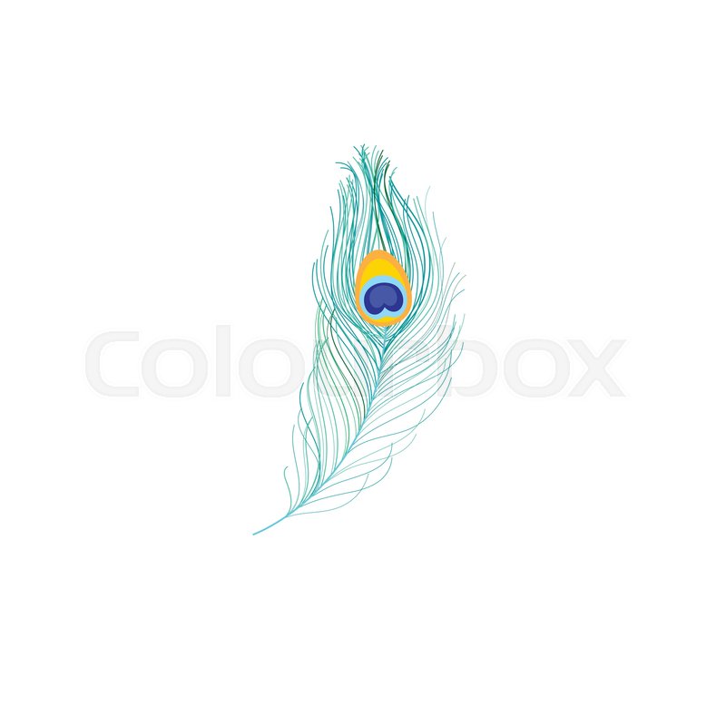 800x800 Vector Icon Of Peacock Feather On Stock Vector Colourbox