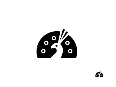 400x300 Peacock Icon