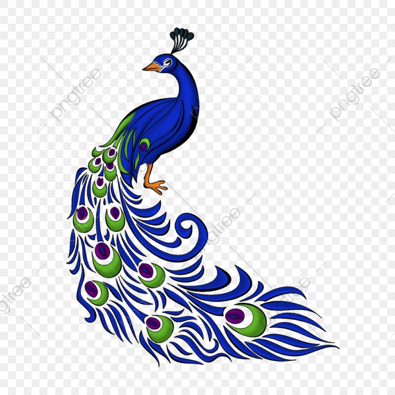 800x800 Peacock Right, Peacock Right Side, Blue Peacock, Icon Png