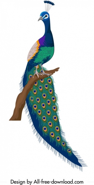 304x600 Peacock Icon Colorful Elegant Decor Free Vector In Adobe