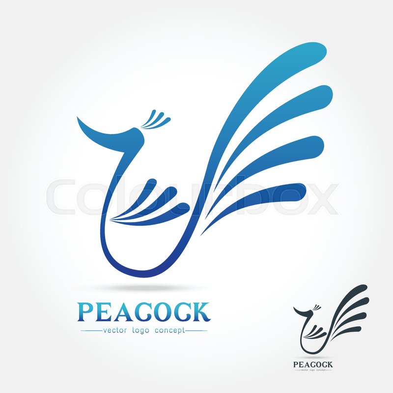 800x800 Peacock Icon Peacock Icon Vector Stock Vector Colourbox