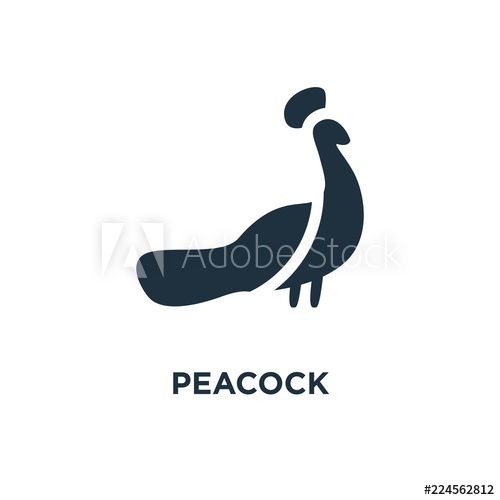 500x500 Peacock Icon