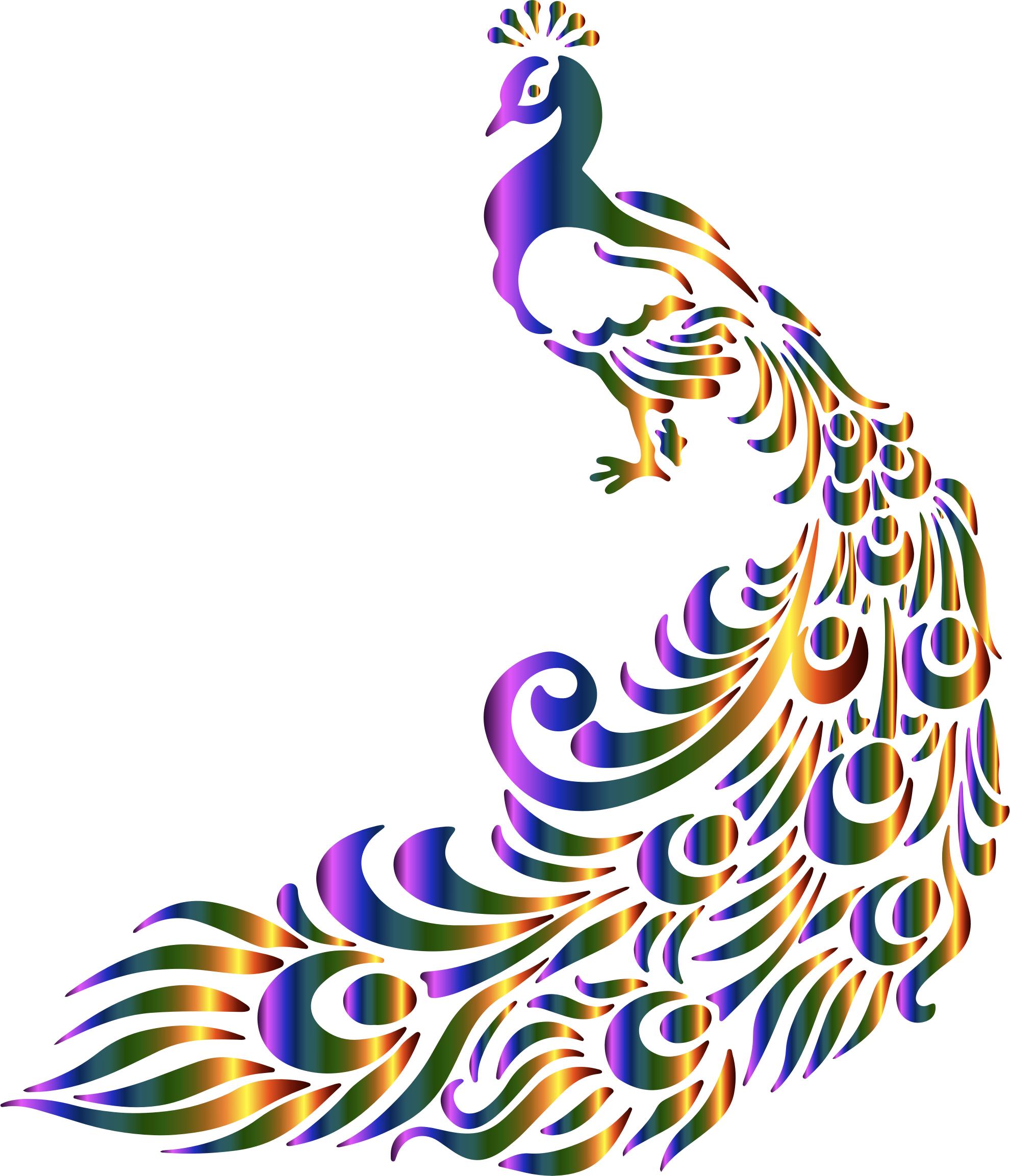 61 Peacock icon images at Vectorified.com