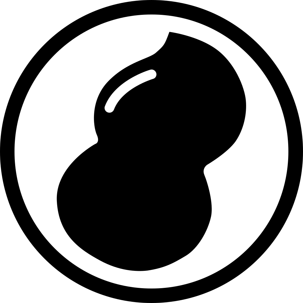 980x980 Peanut Meat Png Icon Free Download