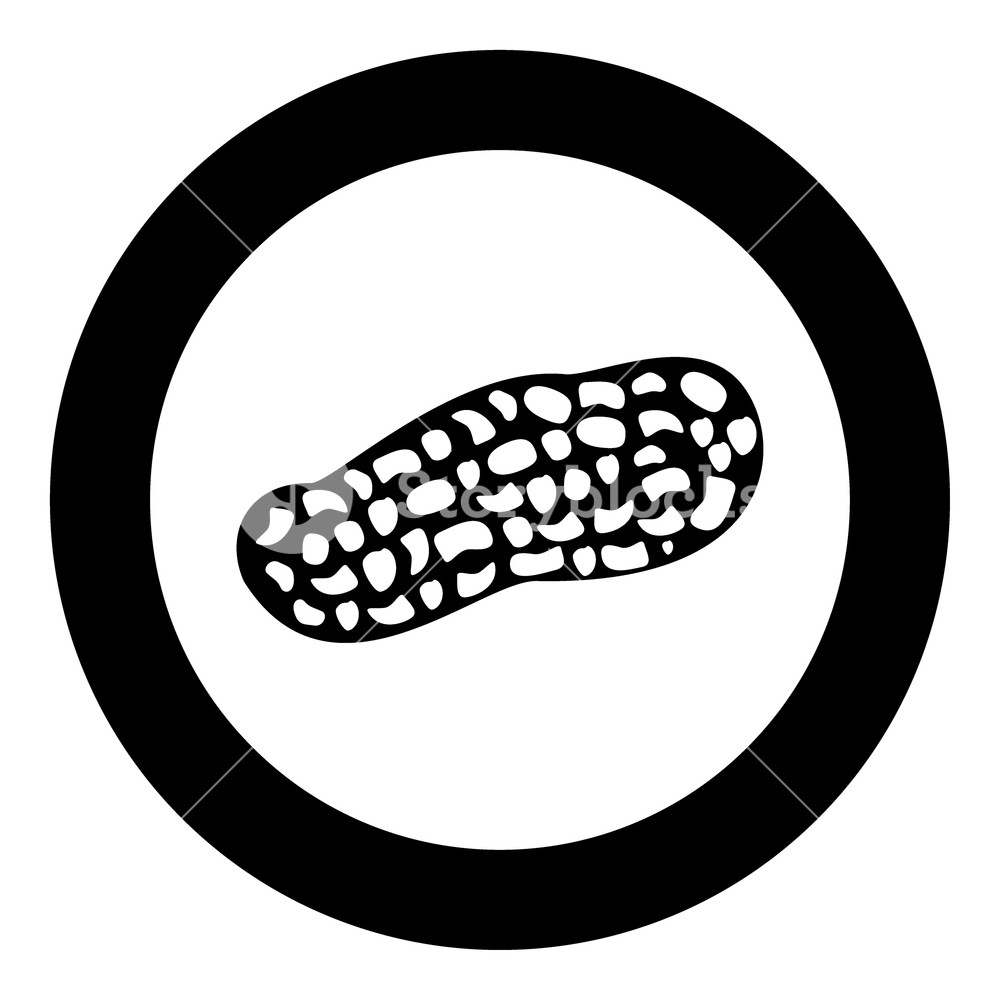 1000x1000 Peanut Icon Black Color In Circle Vector Illustration Royalty Free